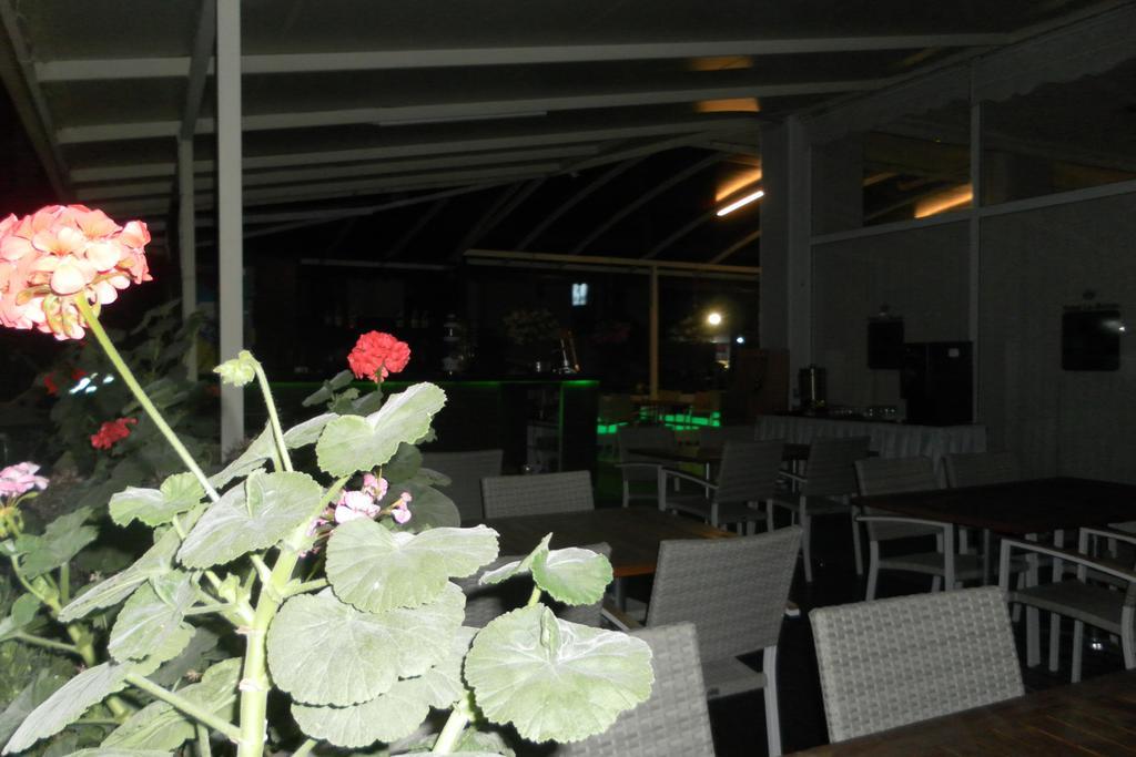 Hotel La Mosae Alanya Esterno foto